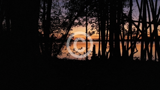 Sunset on Lake Osborne Silhouette