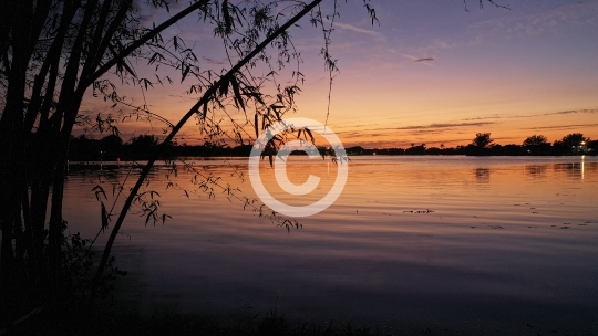 Sunset on Lake Osborne Silhouette